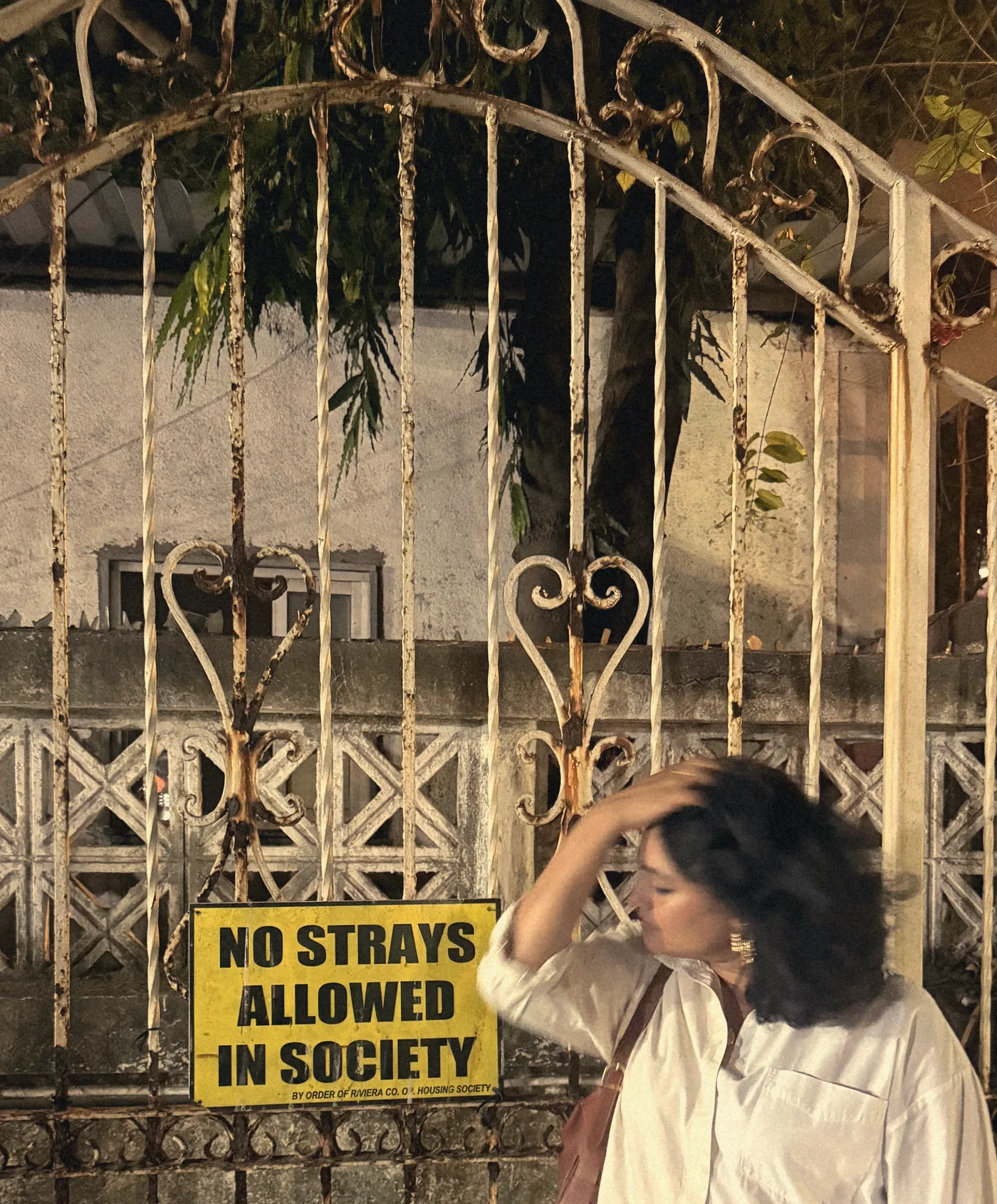Divya in white at an old iron gate beside a yellow sign reading No Strays Allowed in Society